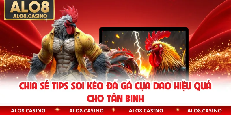 Chia sẻ tips soi kèo đá gà cựa dao hiệu quả cho tân binh