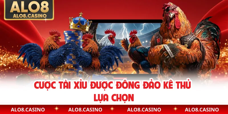 Cược tài xỉu được đông đảo kê thủ lựa chọn