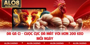 Đá Gà C1 - Cược Cực Đã Mắt Với Hơn 200 Kèo Mỗi Ngày