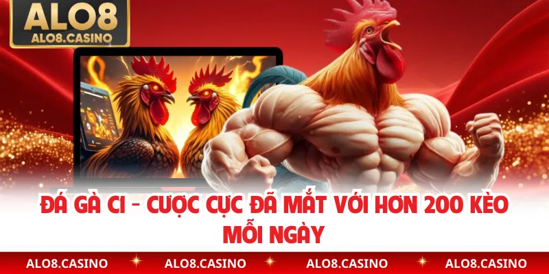 Đá Gà C1 - Cược Cực Đã Mắt Với Hơn 200 Kèo Mỗi Ngày