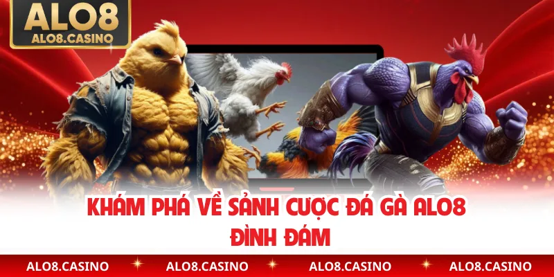 Khám phá về sảnh cược đá gà ALO8 đình đám