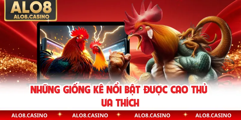 Những giống kê nổi bật được cao thủ ưa thích