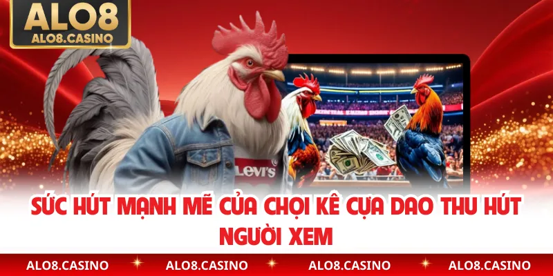 Sức hút mạnh mẽ của chọi kê cựa dao thu hút người xem