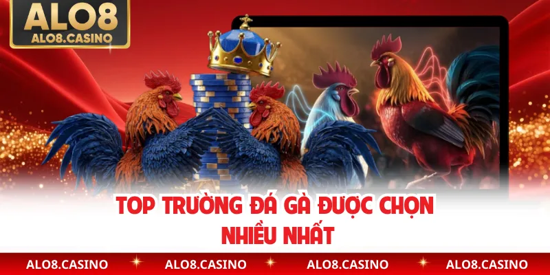 Top trường đá gà được chọn nhiều nhất